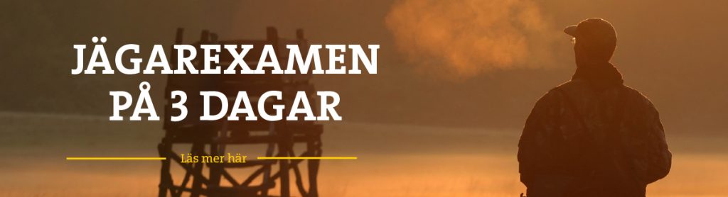 Boka jägarexamen intensivkurs på 3 dagar